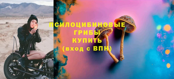 прущая мука Арсеньев